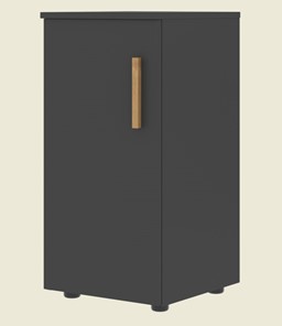 Низкий шкаф колонна с глухой дверью левой FORTA Черный Графит FLC 40.1 (L) (399х404х801) в Чите