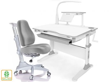 Растущая парта + стул Mealux EVO Evo-30 G (арт. Evo-30 G + Y-528 G) (дерево)/(стол+полка+кресло+чехол+лампа)/ белая столешница (дерево), цвет пластика серый в Чите