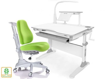Растущая парта + стул Mealux EVO Evo-30 G (арт. Evo-30 G + Y-528 KZ) (дерево)/(стол+полка+кресло+чехол+лампа)/ белая столешница (дерево), цвет пластика серый в Чите